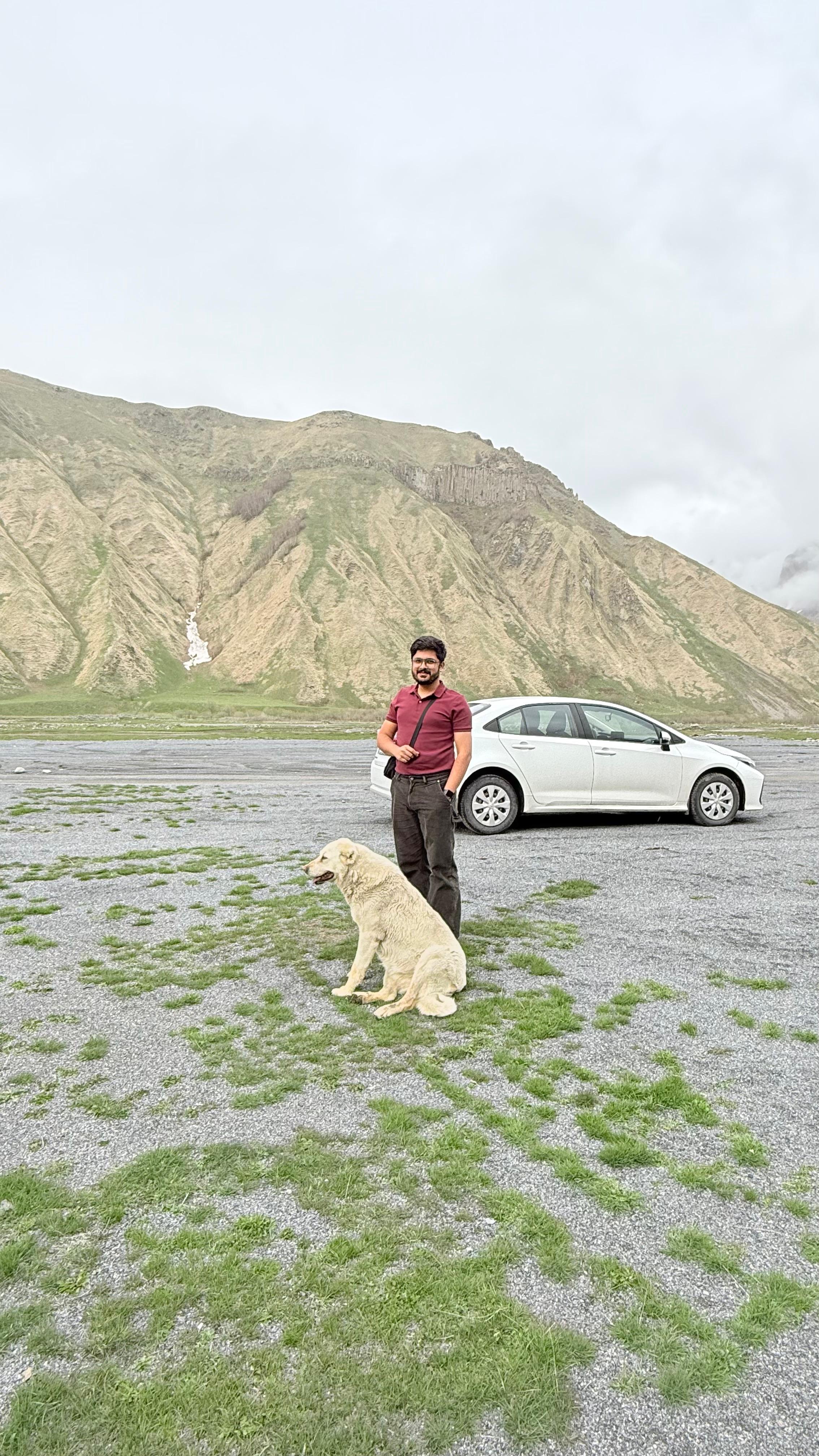 Roadside mountain viewpoint near Kazbegi with a friendly dog