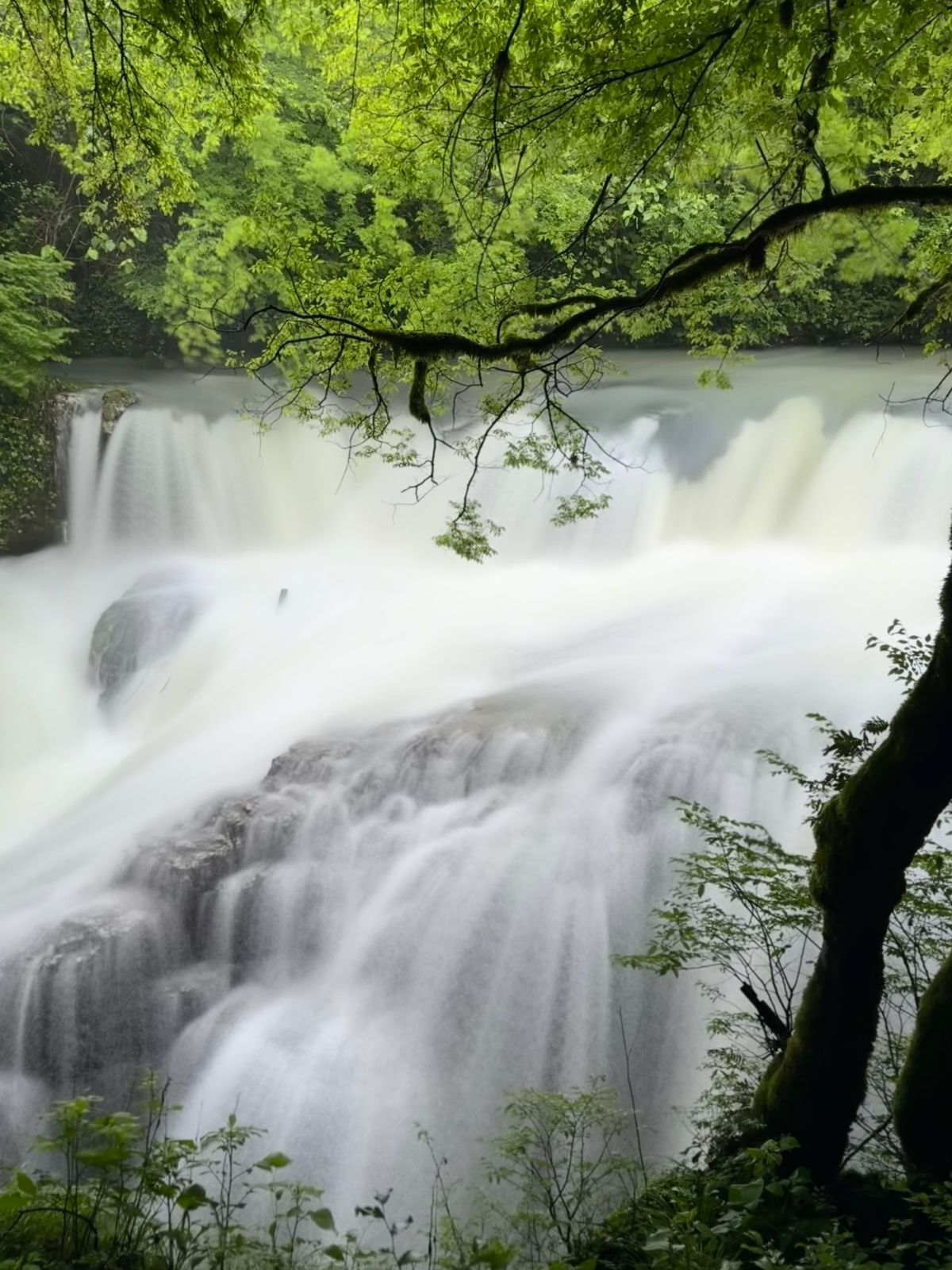 Lush waterfall in Georgia